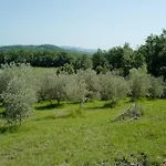 Di Piera *