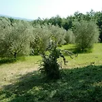 Di Piera Montieri