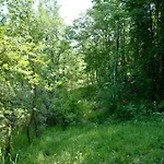 Di Piera Villa *