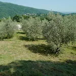 Di Piera