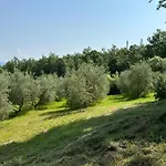 Villa Di Piera *