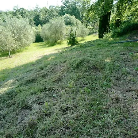 Di Piera Villa Montieri