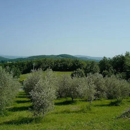 Villa Di Piera